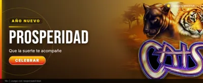 Golden Fortune Spin
